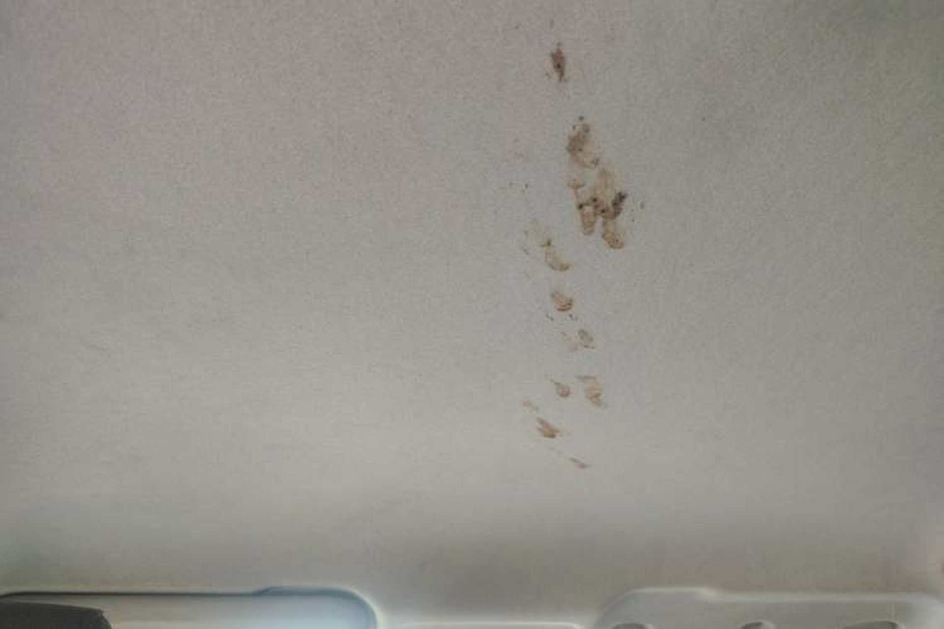 Used WM Motor E.5 2021 500 Ji Ke Xing Headliner