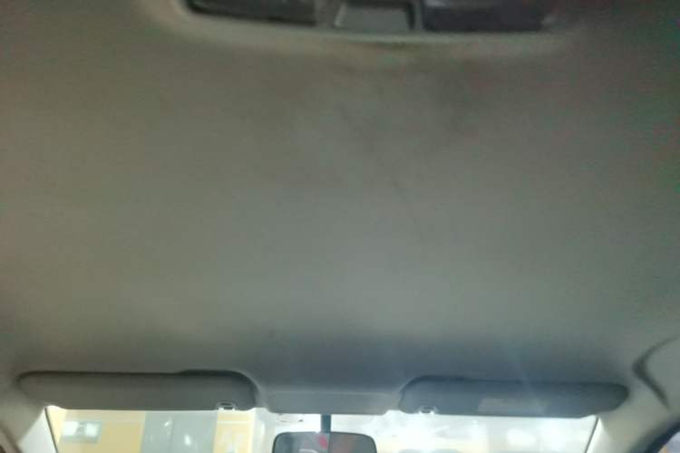 Used WM Motor E.5 2021 500 Ji Ke Xing Headliner