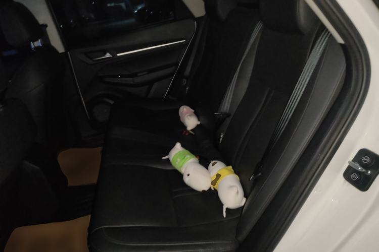 Used WM Motor E.5 2021 500 Ji Ke Xing Left Rear Seat