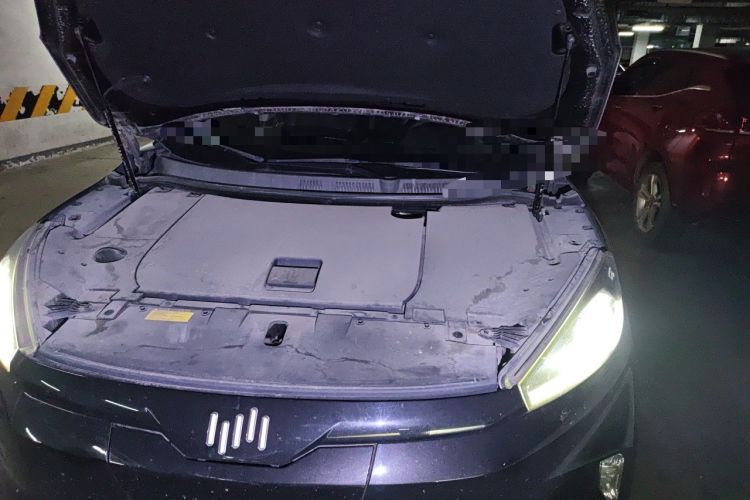 Used WM Motor EX5 2018 EX5 400 Extra Innovation Edition Engine Bay Left