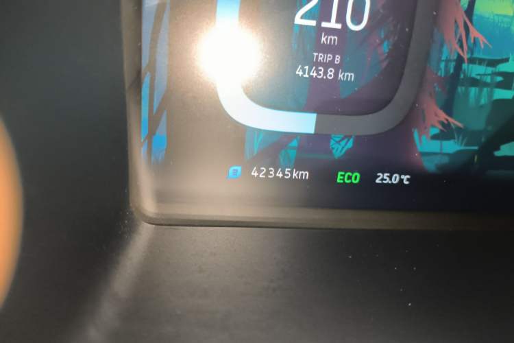 Used WM Motor EX5 2018 EX5 400 Extra Innovation Edition Odometer Close Up