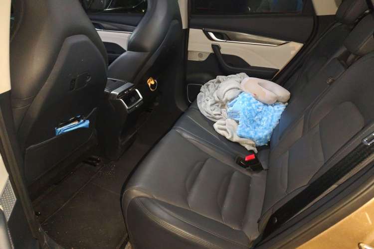 Used WM Motor EX5 2018 EX5 400 Lite Exploration Edition Left Rear Seat