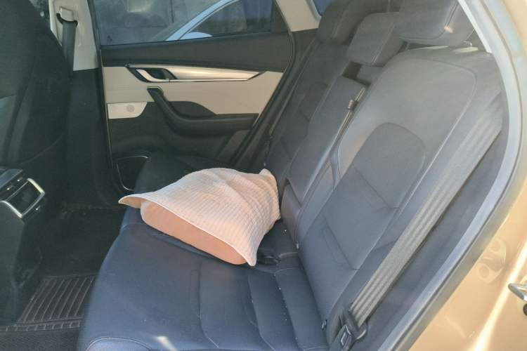 Used WM Motor EX5 2018 EX5 400 Lite Exploration Edition Left Rear Seat