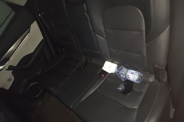 Used WM Motor EX5 2018 EX5 400 Extra Innovation Edition Left Rear Seat