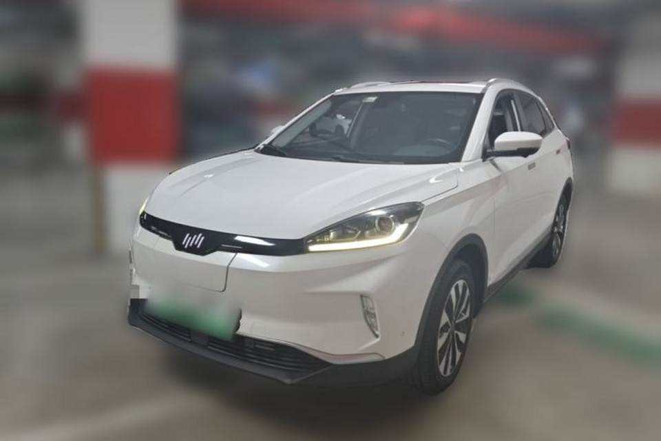 WM Motor EX5 2018