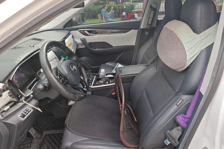 Used WM Motor EX5 2018 EX5 400 Extra Innovation Edition Left Front Seat