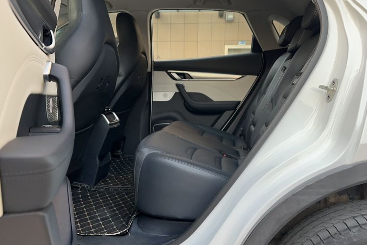 Used WM Motor EX5 2018 EX5 400 Lite Exploration Edition Left Rear Seat
