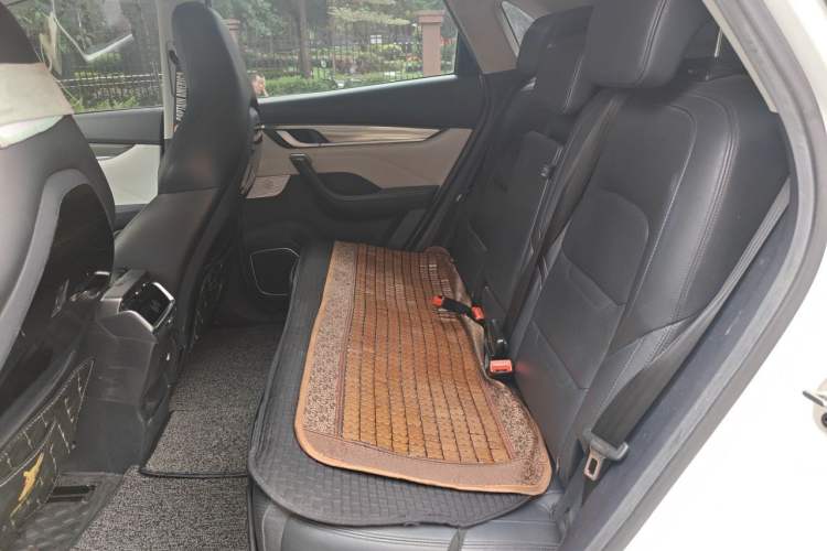 Used WM Motor EX5 2018 EX5 400 Extra Innovation Edition Left Rear Seat