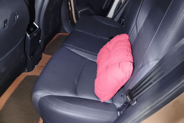 Used WM Motor EX5 2018 EX5 400 Extra Innovation Edition Left Rear Seat