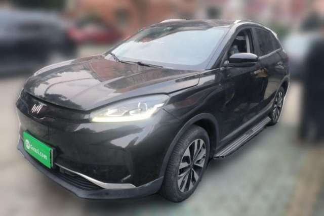 Used WM Motor EX5 2019 EX5 Lite Exploration Edition 520