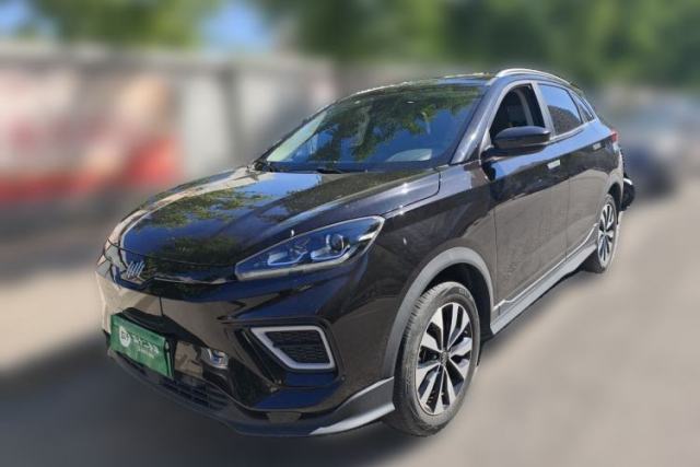 Used WM Motor EX5 2019 EX5 Lite Exploration Edition 400