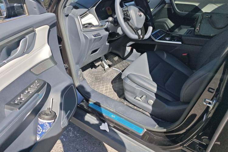 Used WM Motor EX5 2019 EX5 Lite Exploration Edition 400 Driver Seat