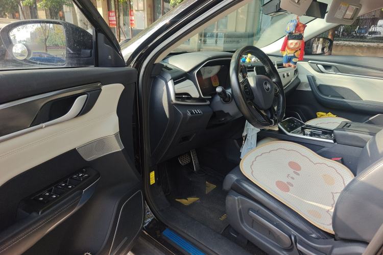 Used WM Motor EX5 2019 EX5 Mate Weymeng Edition 400 Driver Seat