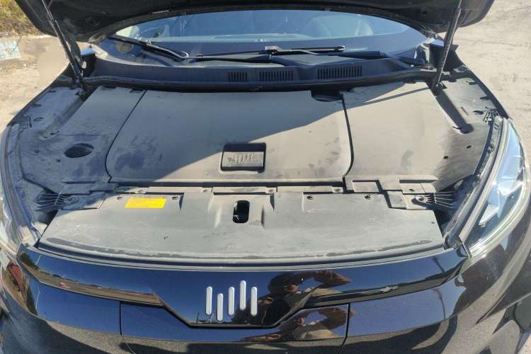 Used WM Motor EX5 2019 EX5 Extra Innovation Edition 520 Engine Bay
