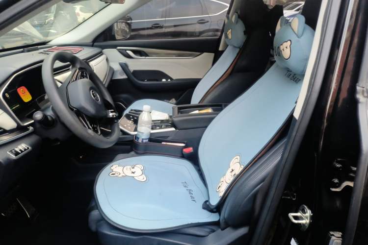 Used WM Motor EX5 2019 EX5 Lite Exploration Edition 520 Left Front Seat