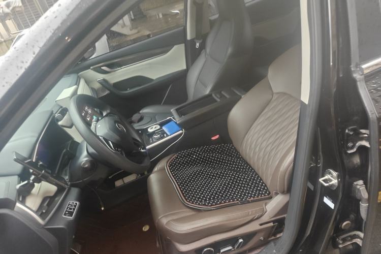 Used WM Motor EX5 2019 EX5 Lite Exploration Edition 520 Left Front Seat