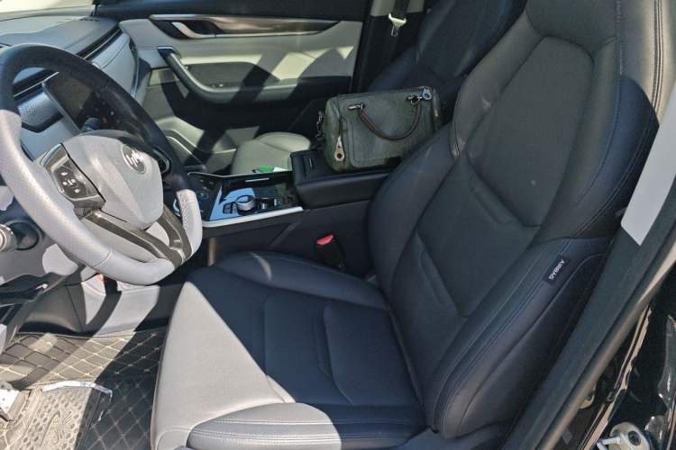 Used WM Motor EX5 2019 EX5 Lite Exploration Edition 400 Left Front Seat