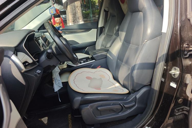Used WM Motor EX5 2019 EX5 Mate Weymeng Edition 400 Left Front Seat