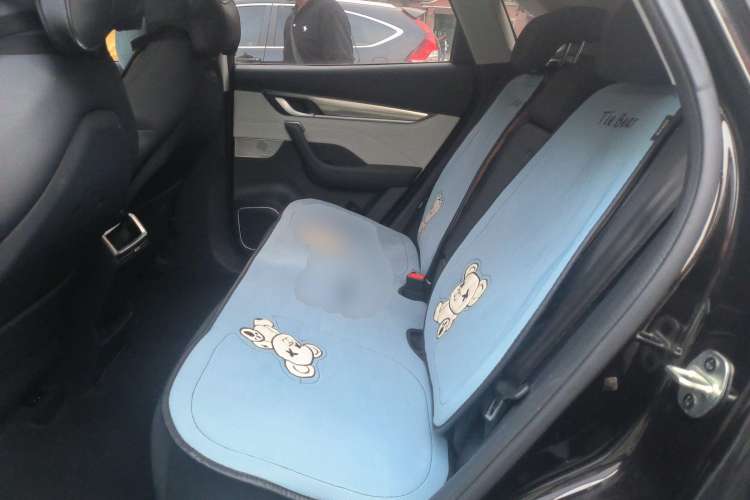 Used WM Motor EX5 2019 EX5 Lite Exploration Edition 520 Left Rear Seat