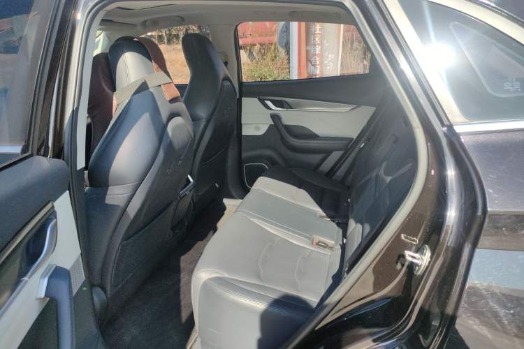 Used WM Motor EX5 2019 EX5 Extra Innovation Edition 520 Left Rear Seat