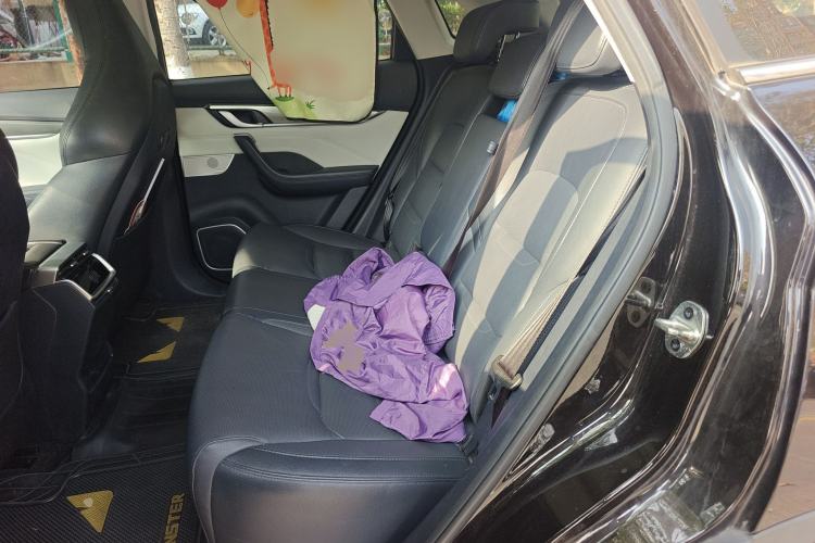 Used WM Motor EX5 2019 EX5 Mate Weymeng Edition 400 Left Rear Seat