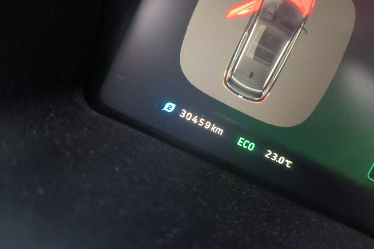 Used WM Motor EX5 2019 EX5 Lite Exploration Edition 520 Odometer Close Up