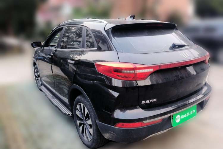 Used WM Motor EX5 2019 EX5 Lite Exploration Edition 520 Rear Left 45 Deg