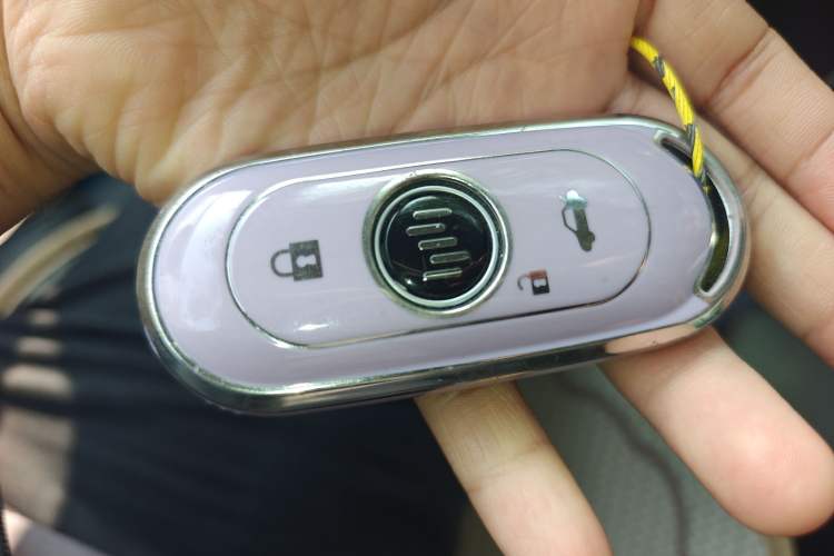 Used WM Motor EX5 2019 EX5 Mate Weymeng Edition 400 Vehicle Key