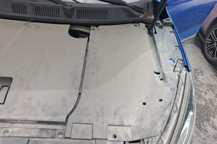 Used WM Motor EX5 2019 EX5 Lite Exploration Edition 520 Engine Bay Left