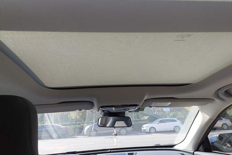 Used WM Motor EX5 2019 EX5 Lite Exploration Edition 520 Headliner