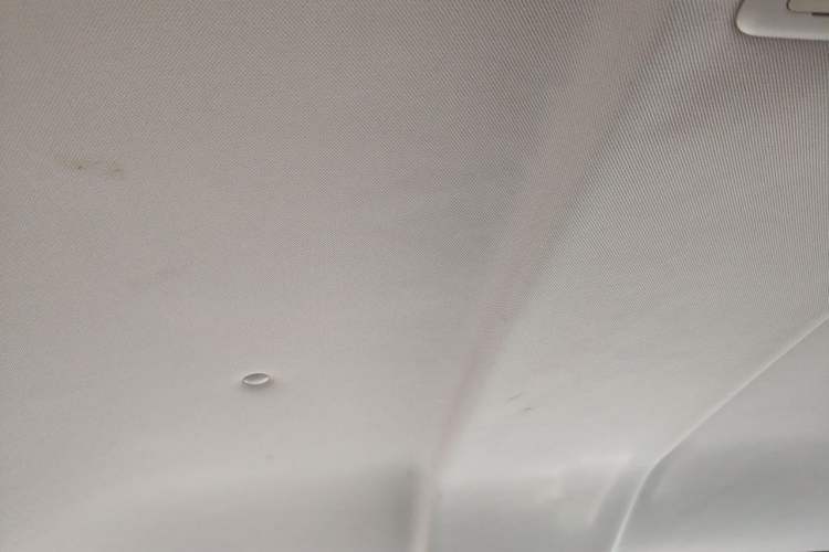 Used WM Motor EX5 2019 EX5 Zhixing 2.0 Lite Exploration Edition 400 Headliner