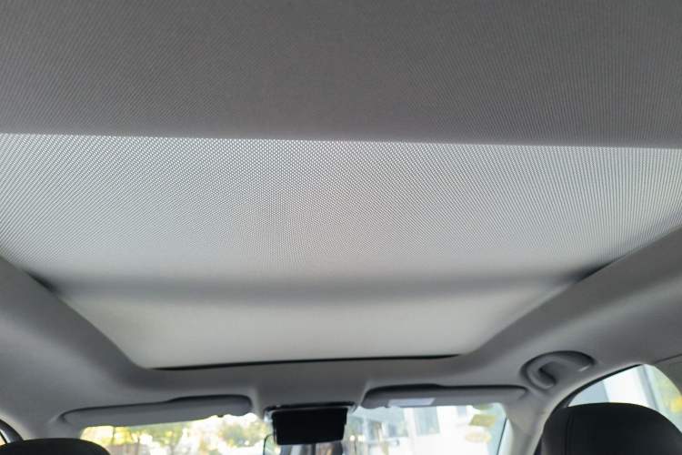 Used WM Motor EX5 2019 EX5 Mate Weymeng Edition 400 Headliner