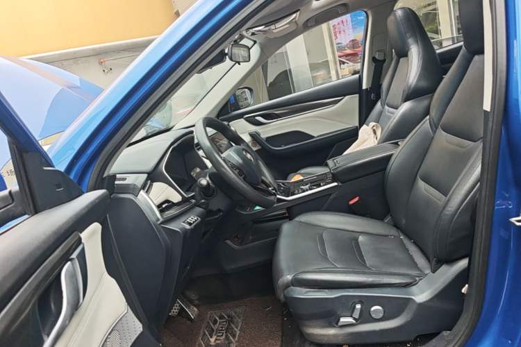 Used WM Motor EX5 2019 EX5 Lite Exploration Edition 520 Left Front Seat