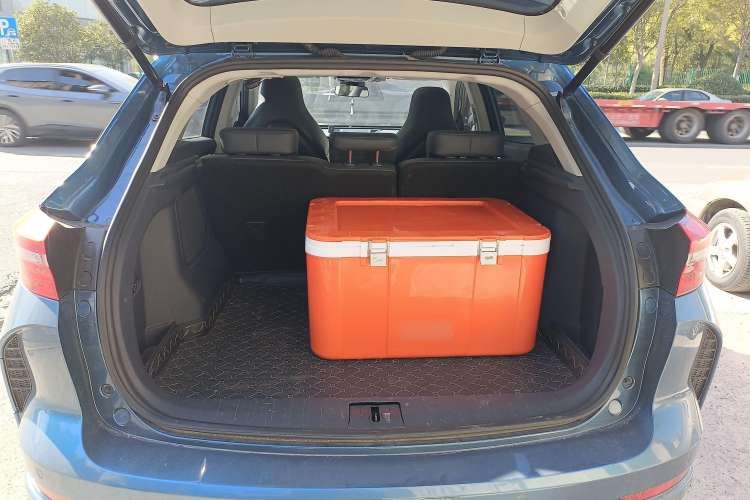 Used WM Motor EX5 2019 EX5 Lite Exploration Edition 520 Trunk