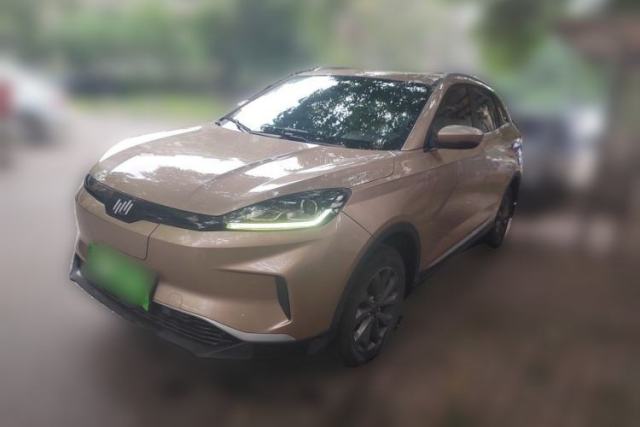 Used WM Motor EX5 2019 EX5 Mate Weymeng Edition 400