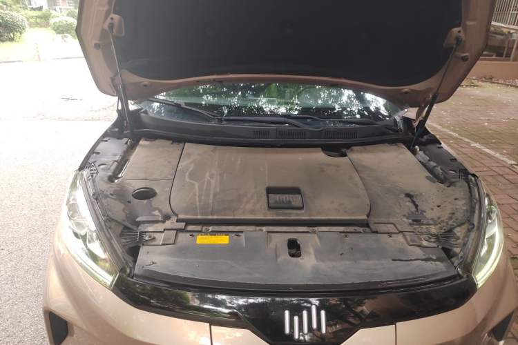 Used WM Motor EX5 2019 EX5 Mate Weymeng Edition 400 Engine Bay
