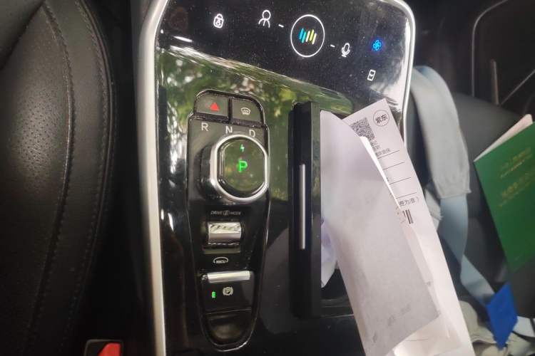 Used WM Motor EX5 2019 EX5 Mate Weymeng Edition 400 Gear Lever