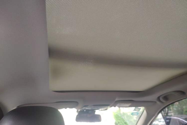 Used WM Motor EX5 2019 EX5 Mate Weymeng Edition 400 Headliner