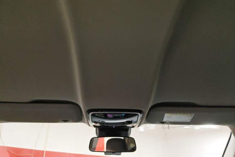 Used WM Motor EX5 2019 EX5 Lite Exploration Edition 520 Headliner