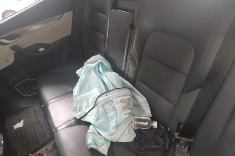 Used WM Motor EX5 2019 EX5 Mate Weymeng Edition 400 Left Rear Seat