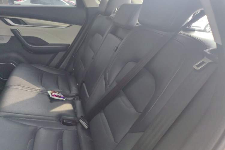 Used WM Motor EX5 2019 EX5 Mate Weymeng Edition 400 Left Rear Seat