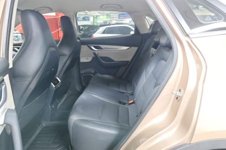Used WM Motor EX5 2019 EX5 Lite Exploration Edition 520 Left Rear Seat