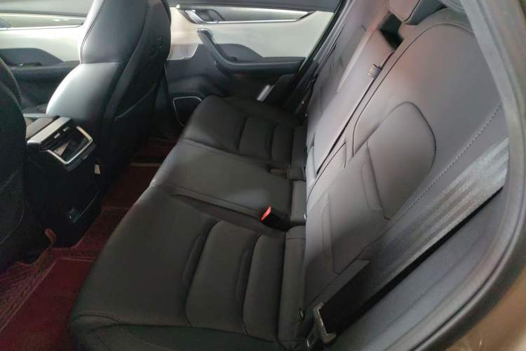 Used WM Motor EX5 2019 EX5 Extra Innovation Edition 400 Left Rear Seat