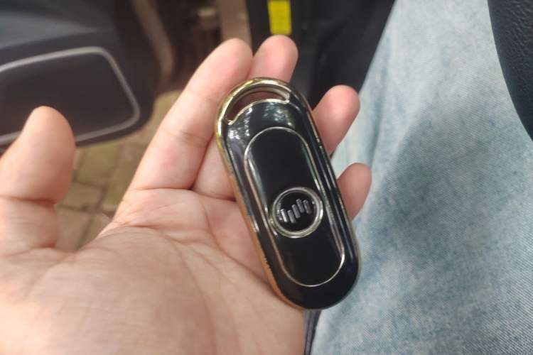 Used WM Motor EX5 2019 EX5 Mate Weymeng Edition 400 Vehicle Key
