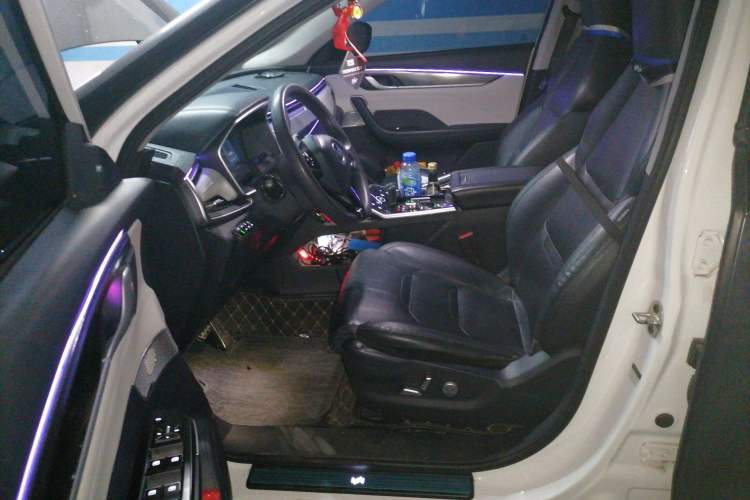 Used WM Motor EX5 2019 EX5 Extra Innovation Edition 400 Driver Seat