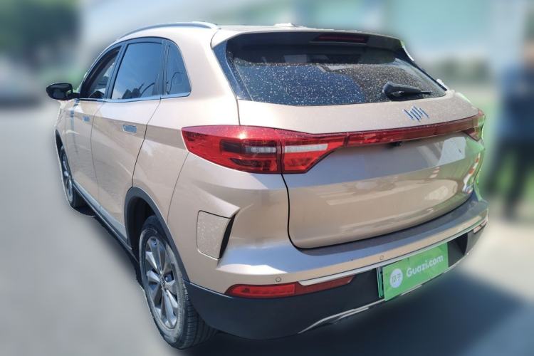 Used WM Motor EX5 2019 EX5 Mate Weymeng Edition 400 Rear Left 45 Deg