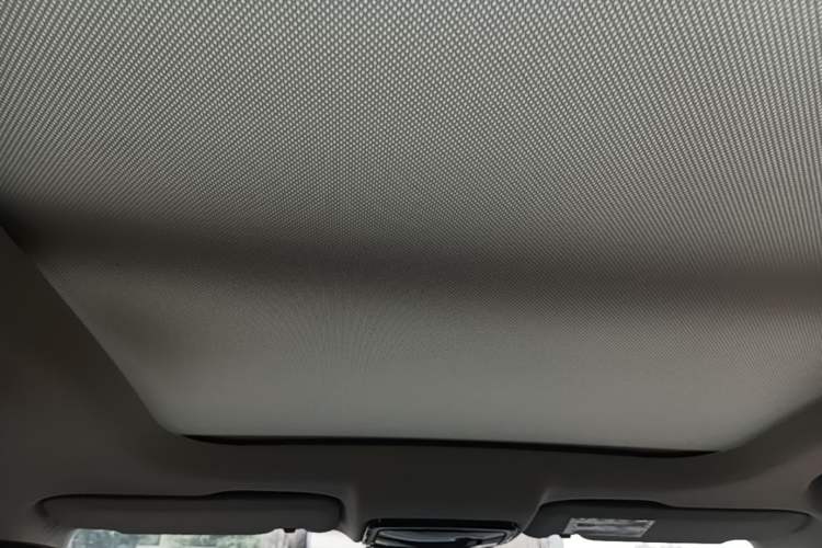 Used WM Motor EX5 2019 EX5 ZhiXing 2.0 Extra Innovation Edition 400 Headliner