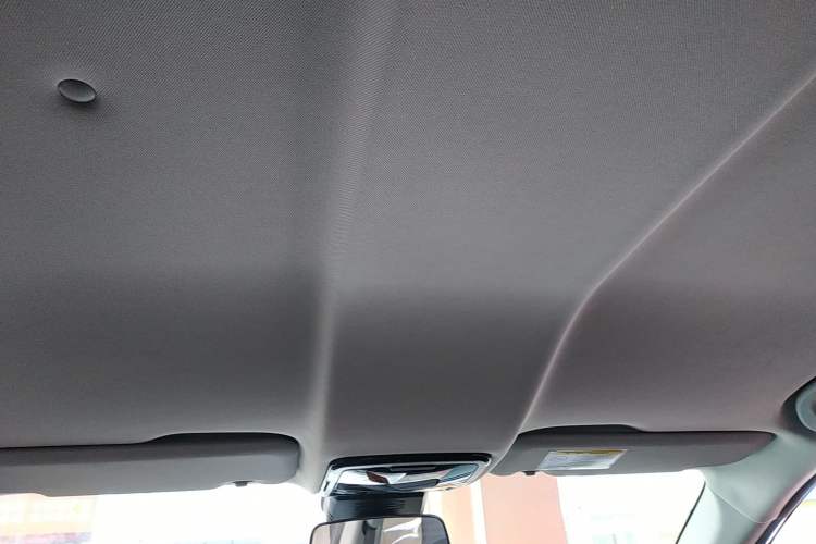 Used WM Motor EX5 2019 EX5 Lite Exploration Edition 400 Headliner