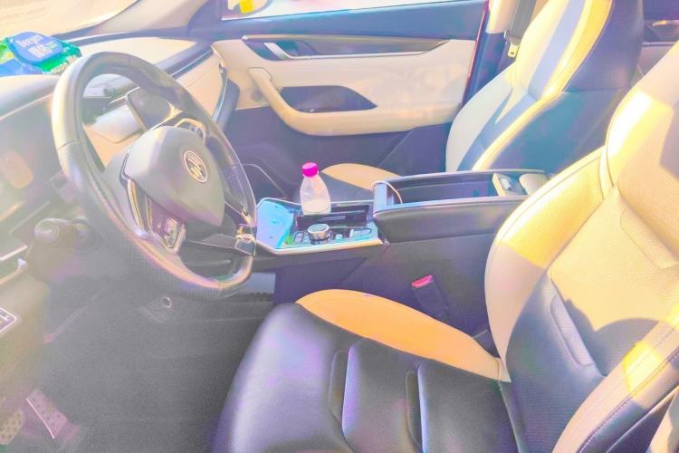 Used WM Motor EX5 2019 EX5 Zhixing 2.0 Extra Innovation Edition 500 Left Front Seat