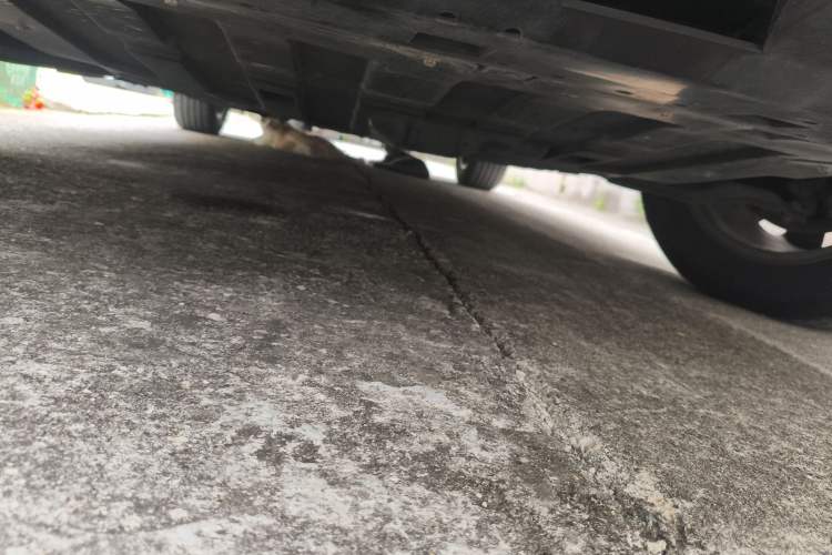 Used WM Motor EX5 2019 EX5 Mate Weymeng Edition 400 Chassis Front